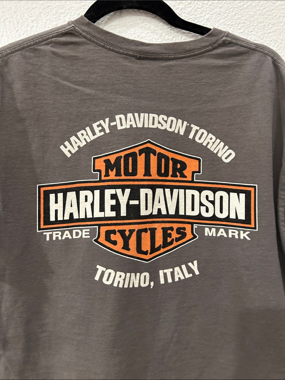 Harley-Davidson Graphic Crop Tee in Charcoal with Gold Accents - Picture 8 of 9